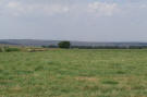 180ha planted grasses