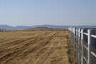 28ha Arable
