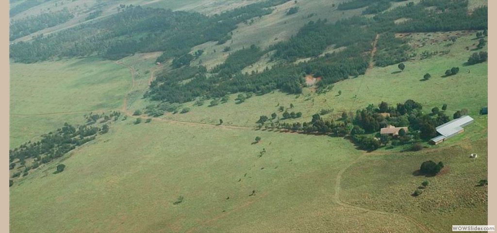 Fly Over