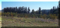 Various Farm Views