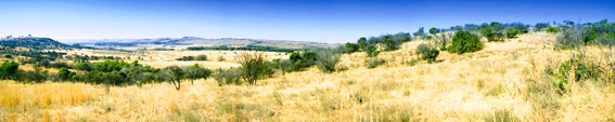 15ha bushveld koppie