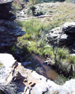 Rocky Ledges