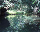 A Fairy World