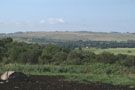 Rolling Hills