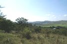 Farm View