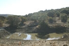 Game Water Hole