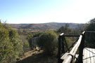 Stunning Views