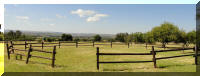 Lunging Ring and Arena