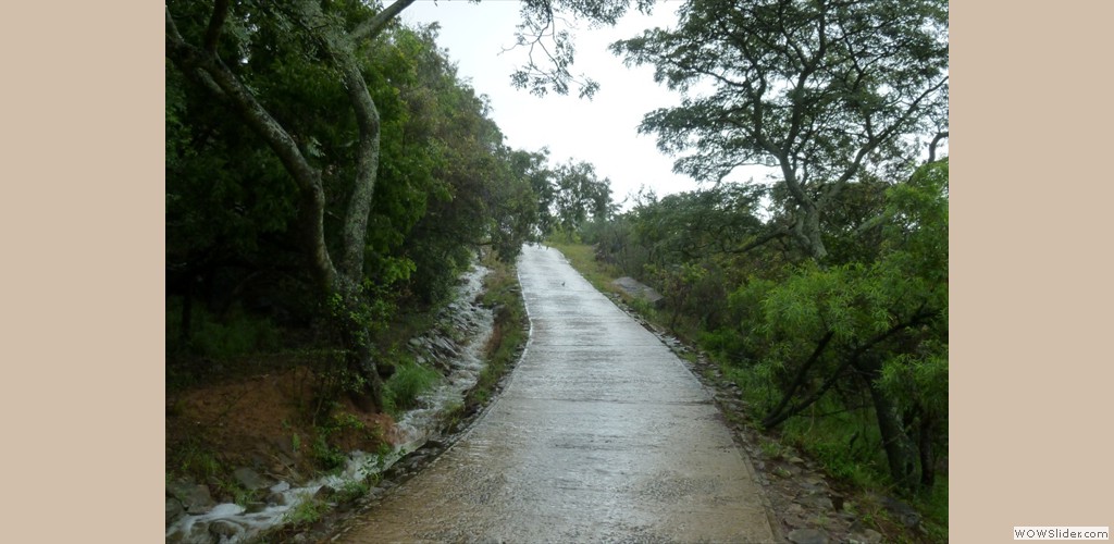 Driveway Access