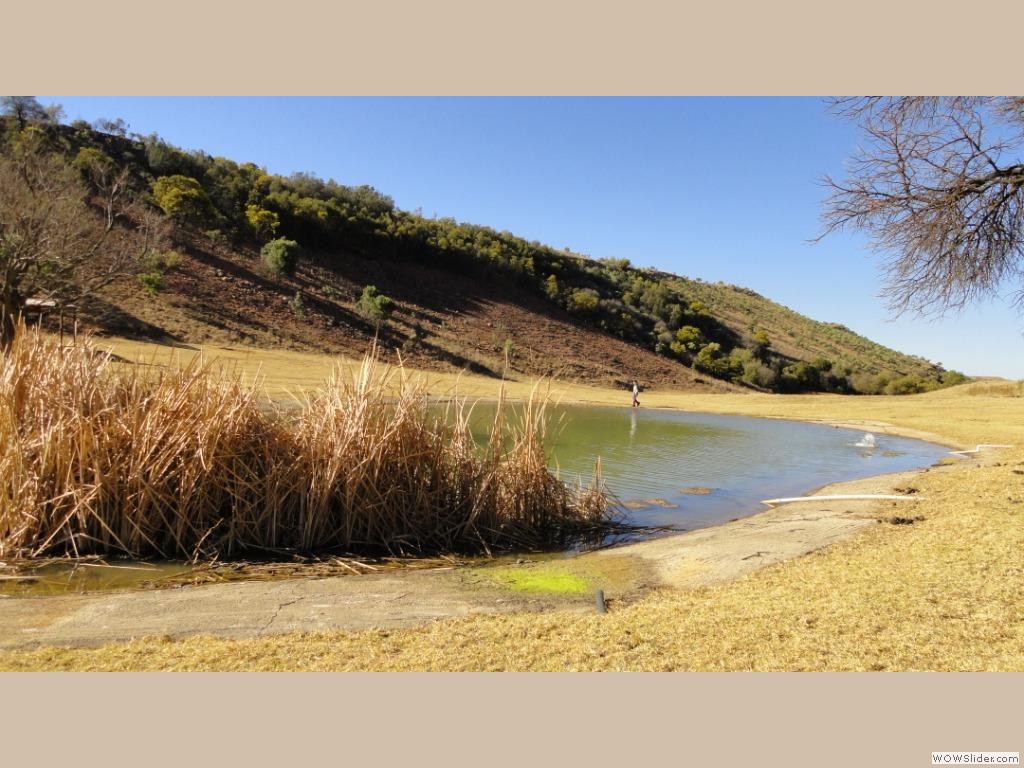 The Ornamental Dam