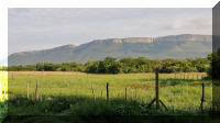Northern Magaliesberg Views